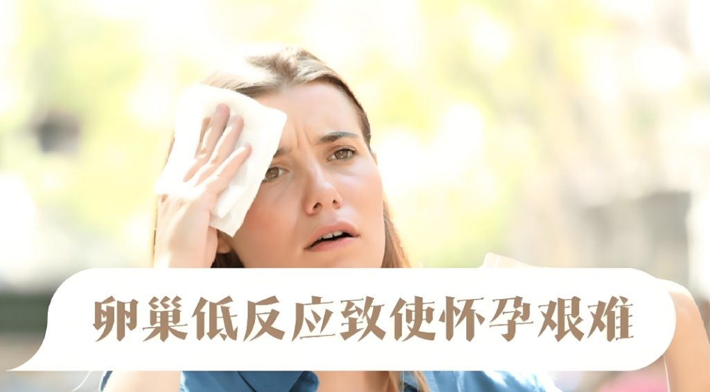 女性卵巢低反应