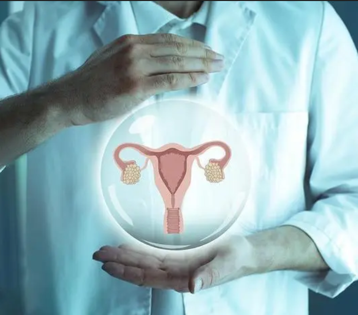 女性子宫环境