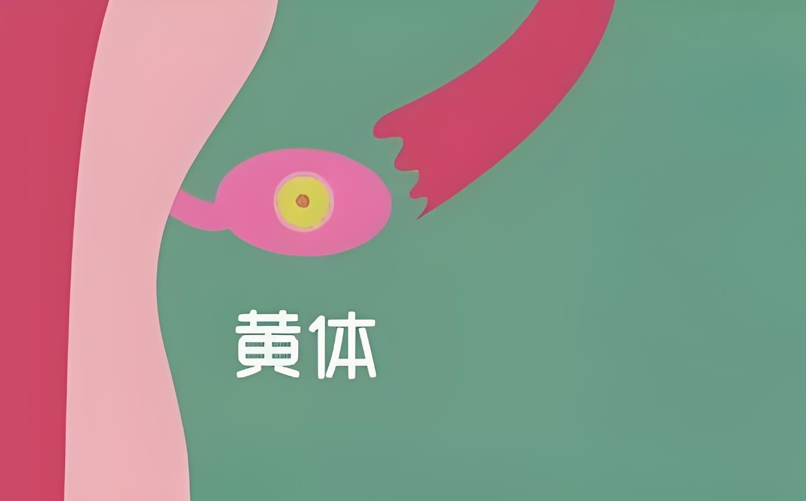 女性黄体功能不足