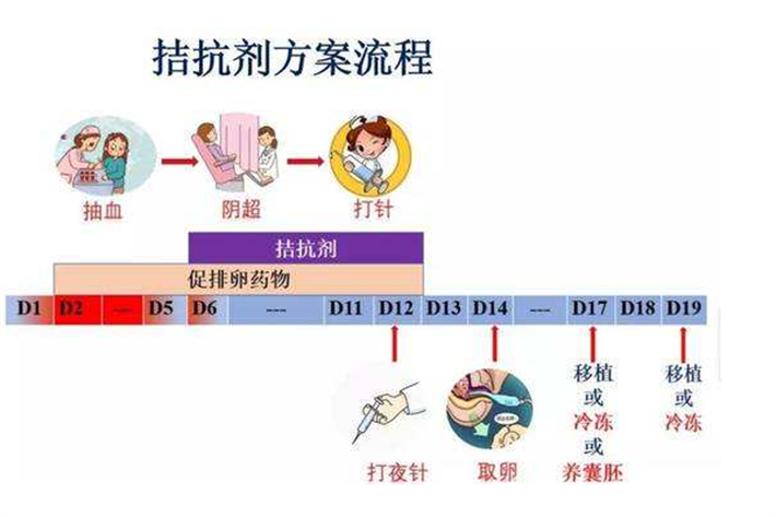 拮抗剂方案.png