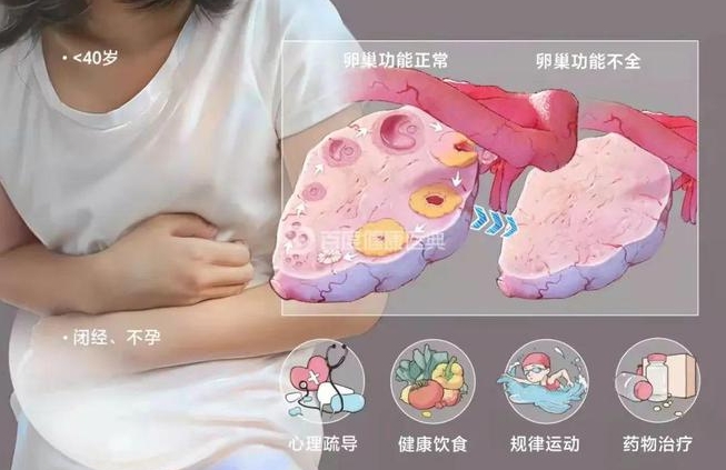 卵巢功能
