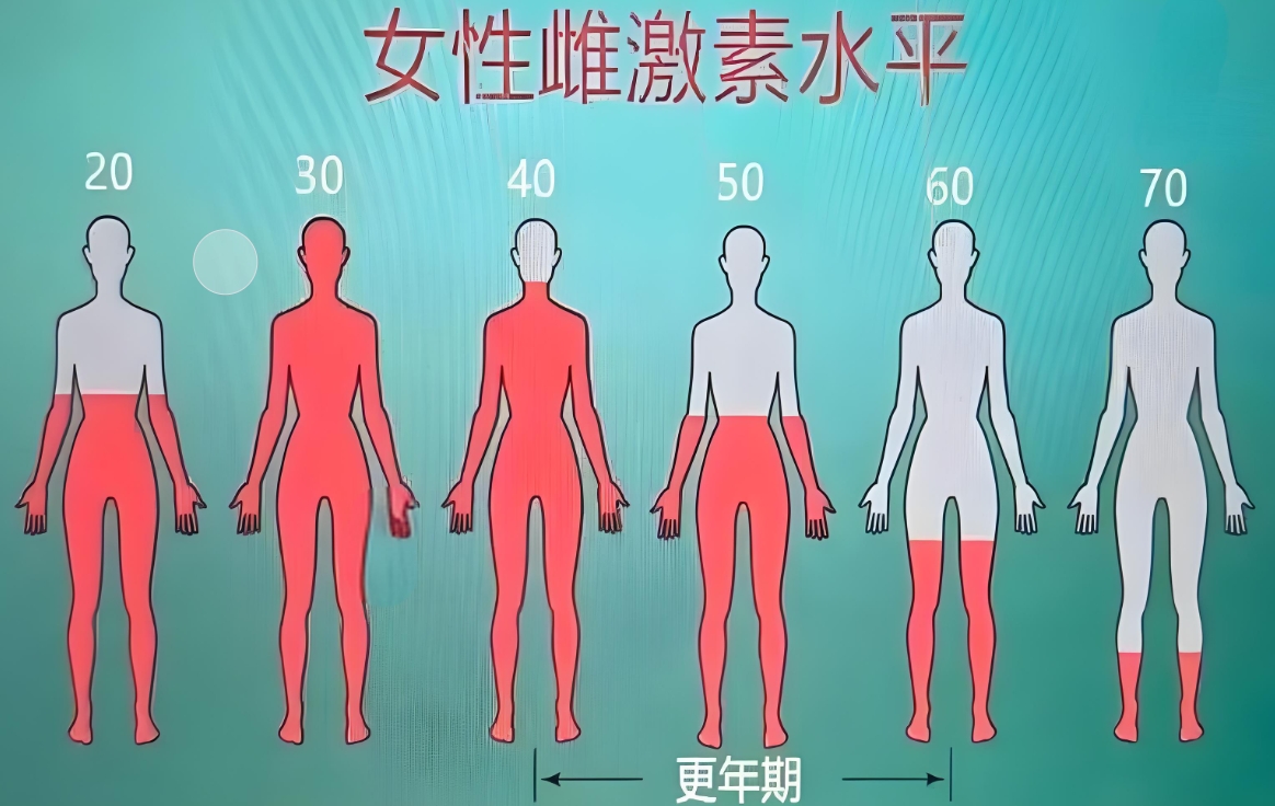激素水平