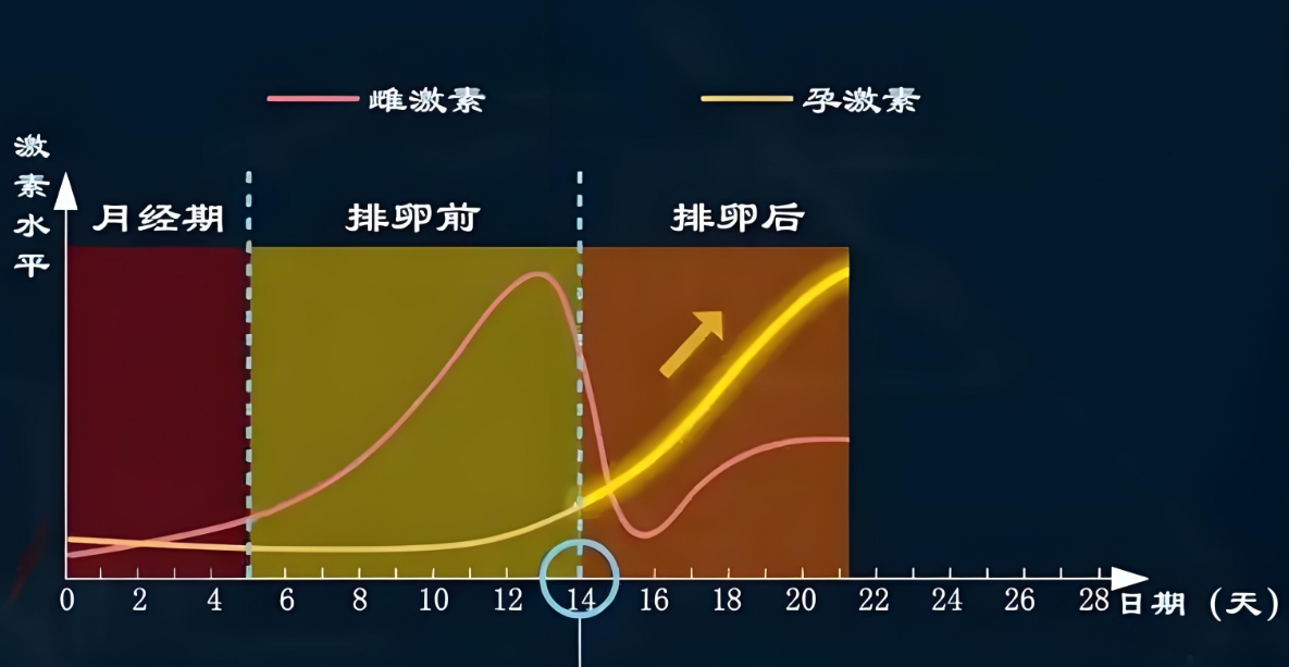激素失衡