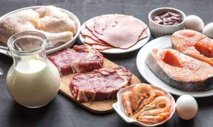 蛋白质饮食