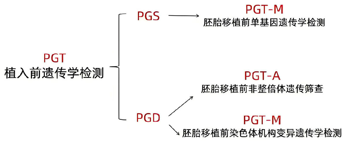 pgt.jpg