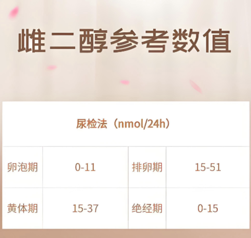 雌二醇参考值