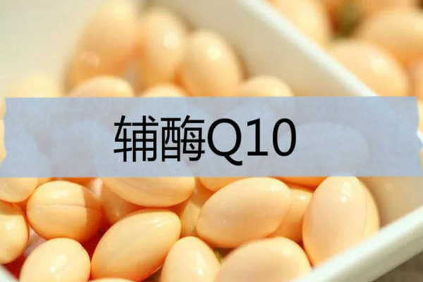 辅酶Q10