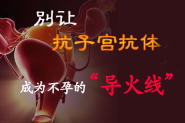 抗子宫内膜抗体