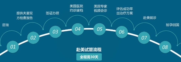 赴美试管流程