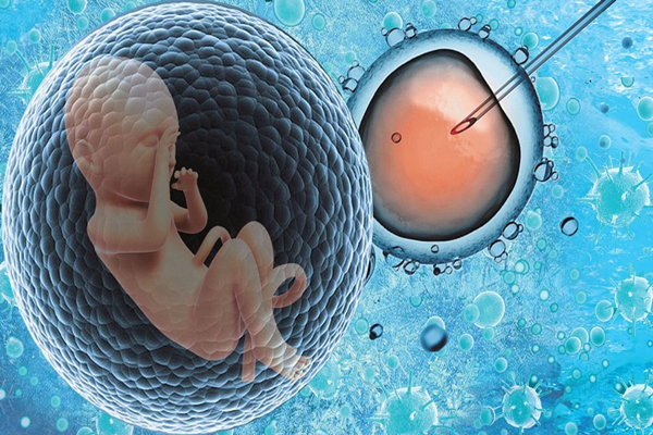 试管婴儿技术