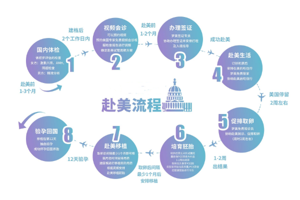 赴美试管流程