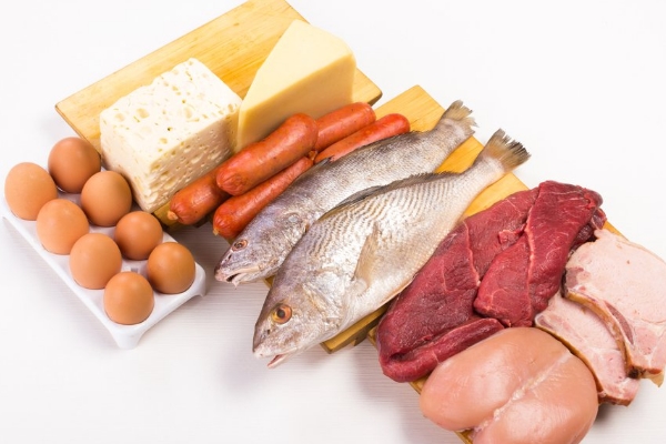 高蛋白质摄入