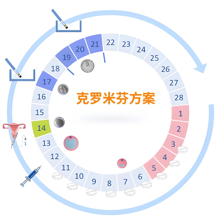 改良版克罗米芬方案