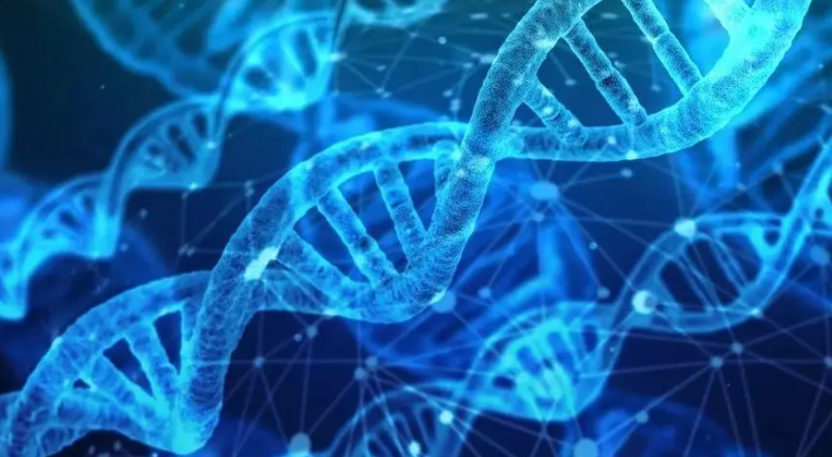 美国三代试管婴儿技术