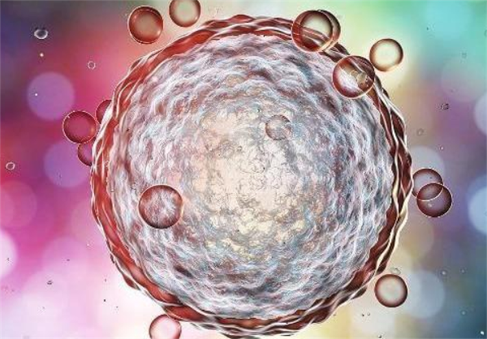 促排卵3 卵子.png