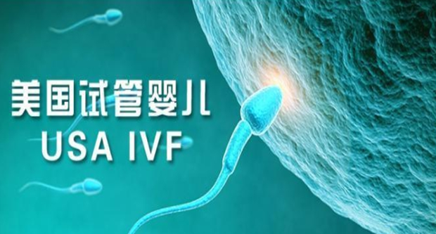 美国试管婴儿