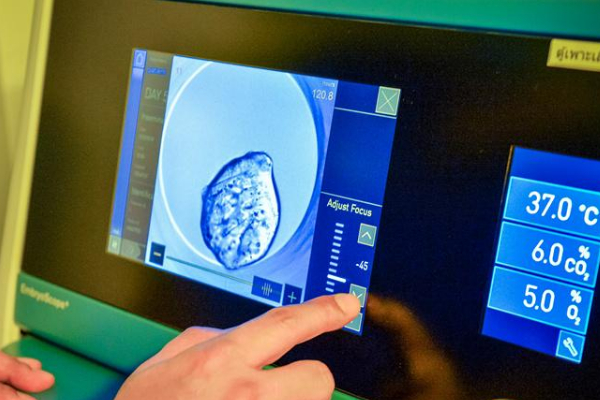 实验室囊胚培育