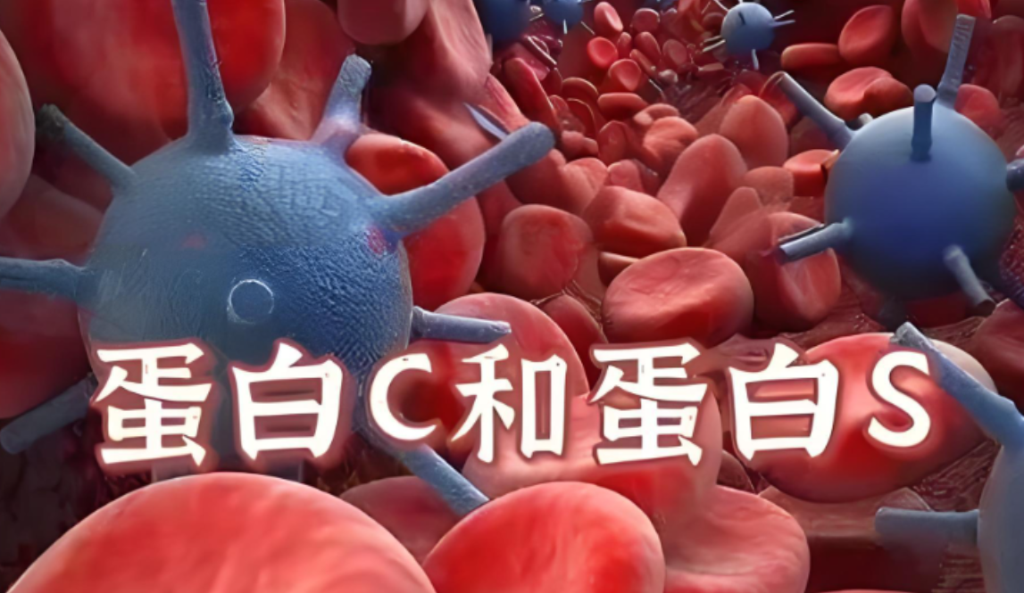 蛋白S、蛋白C