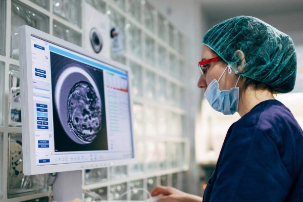 观察胚胎完整性