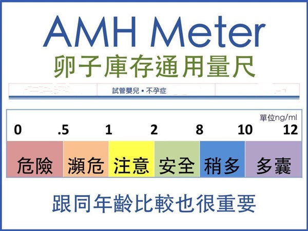 AMH低
