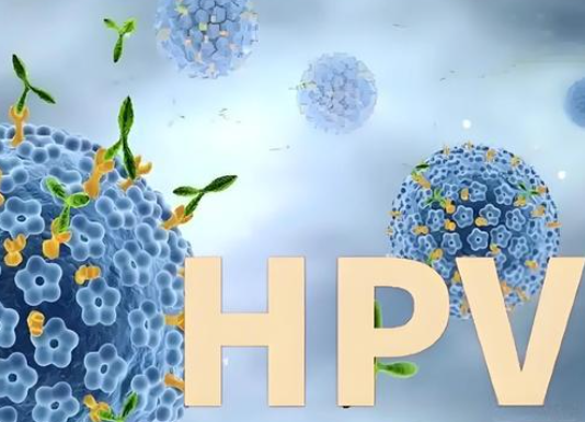 hpv病毒