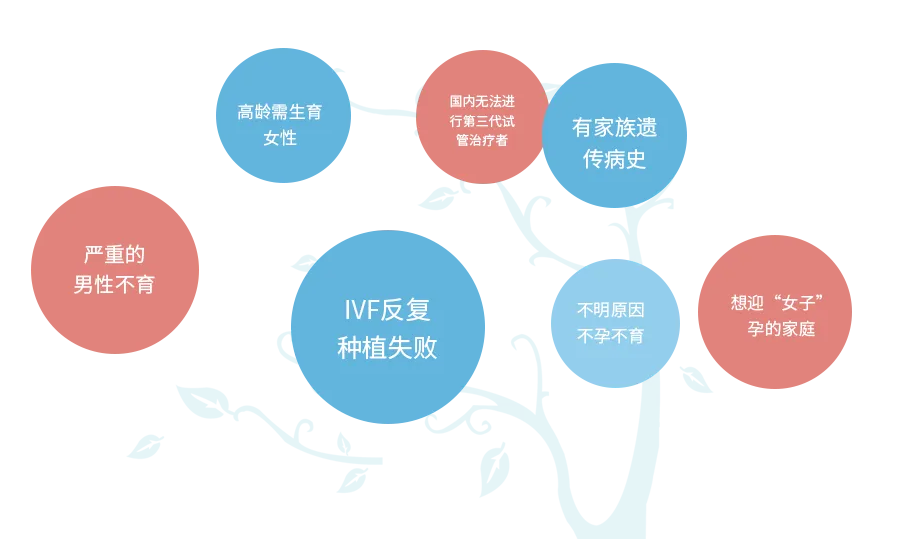 想要赴美试管的人群