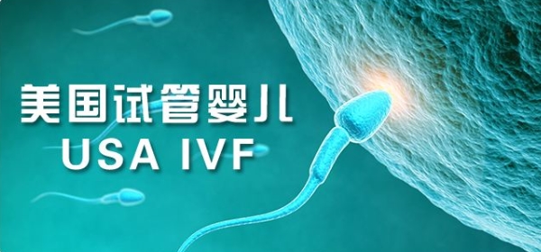 美国试管婴儿