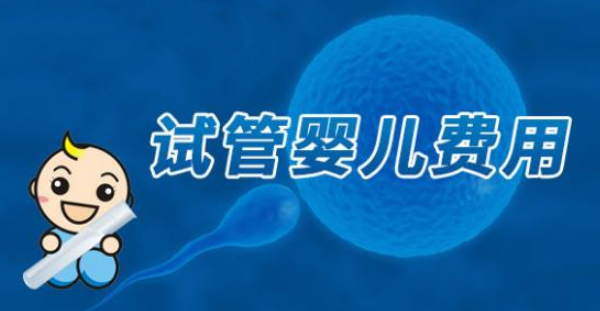 美国试管婴儿费用
