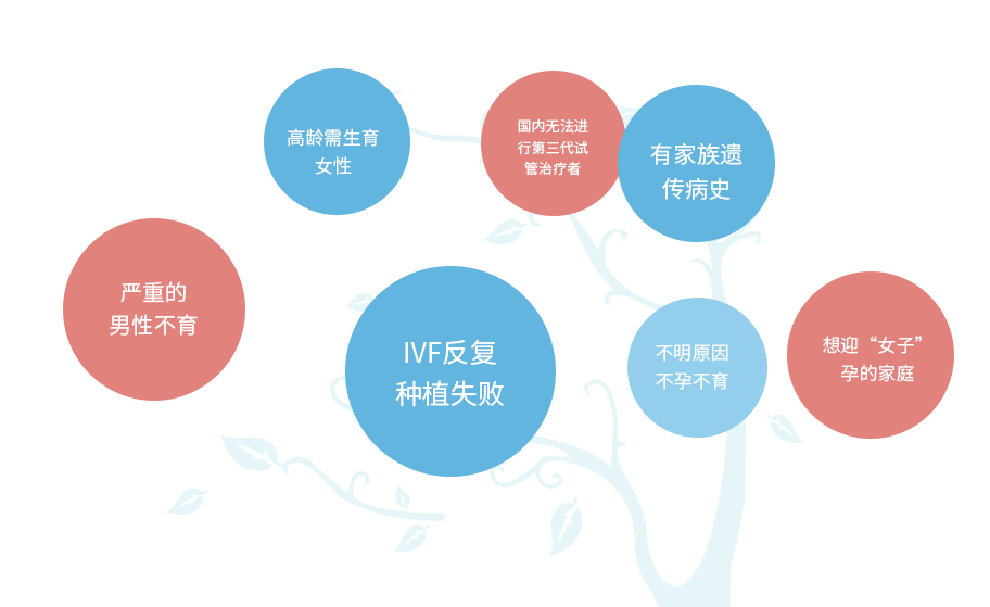 赴美试管适配人群
