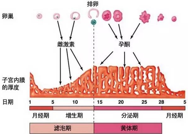 着床窗口