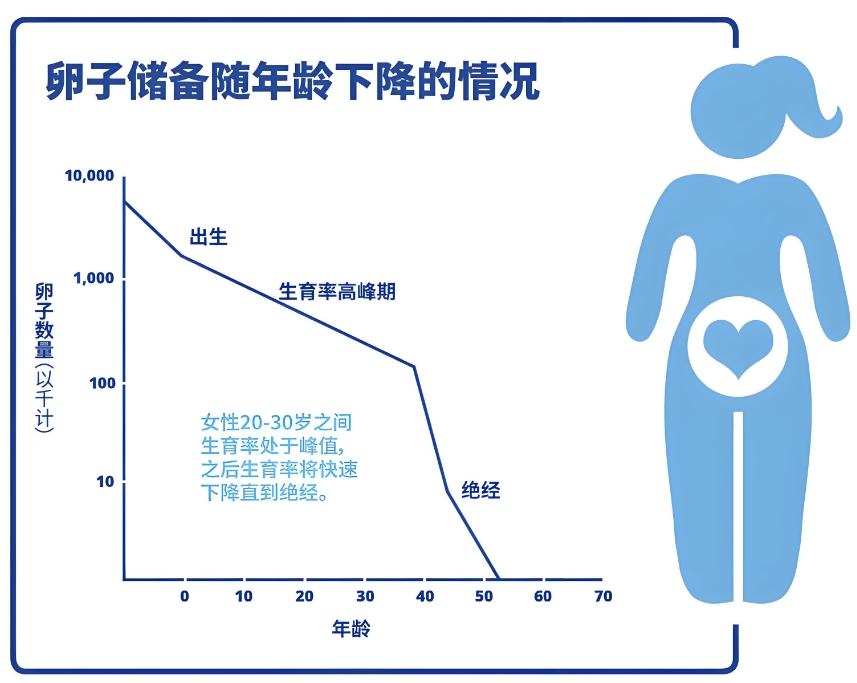 卵巢储备功能下降