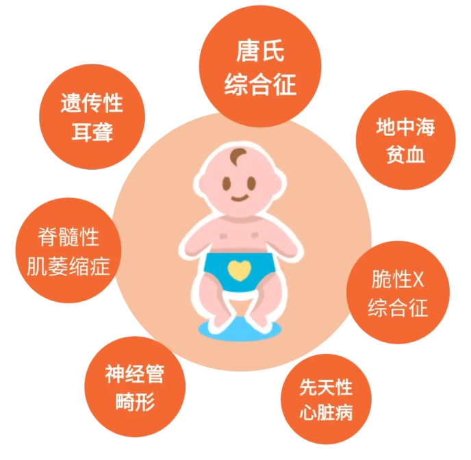 缺陷胎儿
