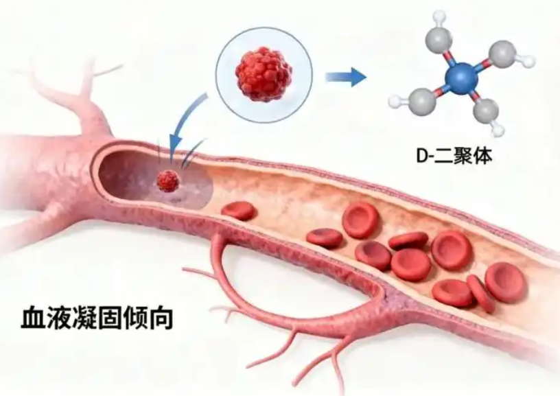 D2聚体