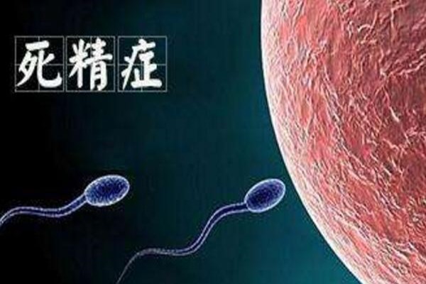 死精症
