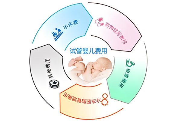 费用清单