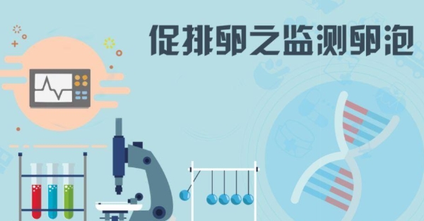 监测卵泡