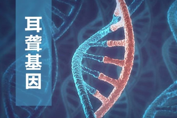 耳聋基因